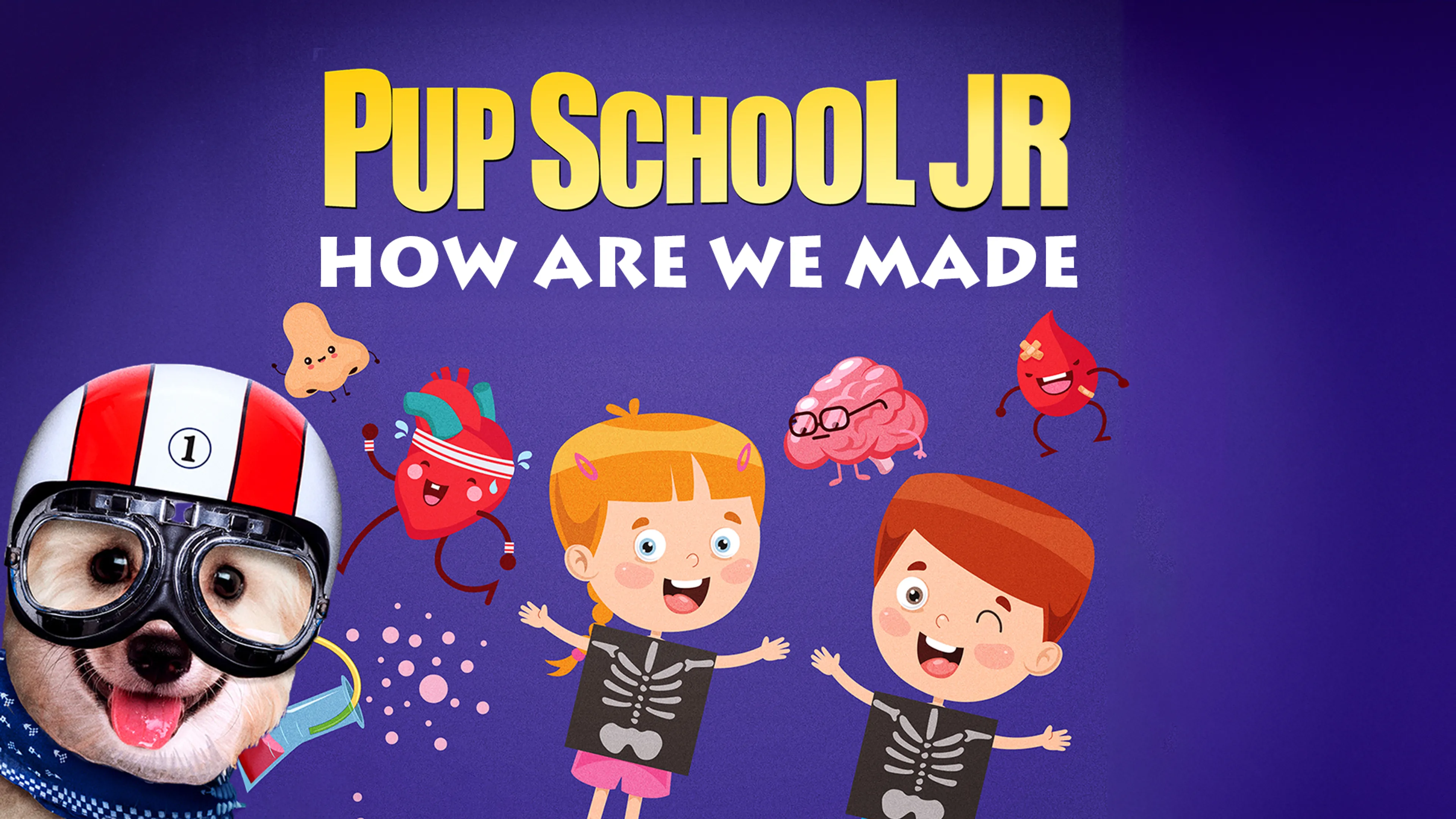 Pup School Jr: How Are We Made poster